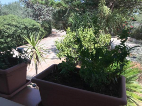 A casa dei Fenici Marsala